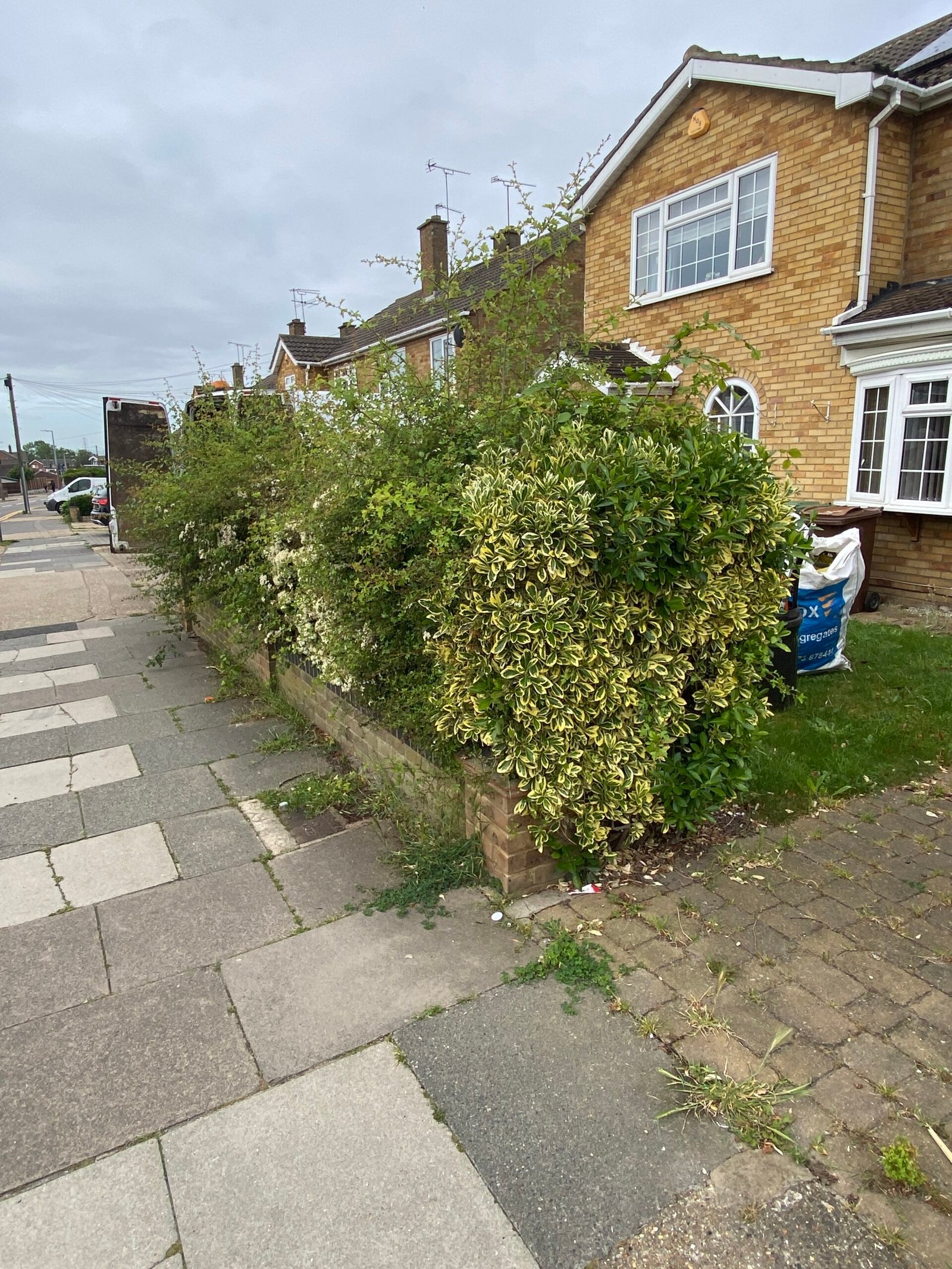 hedge trimming overgrown hedge beside residential pavement