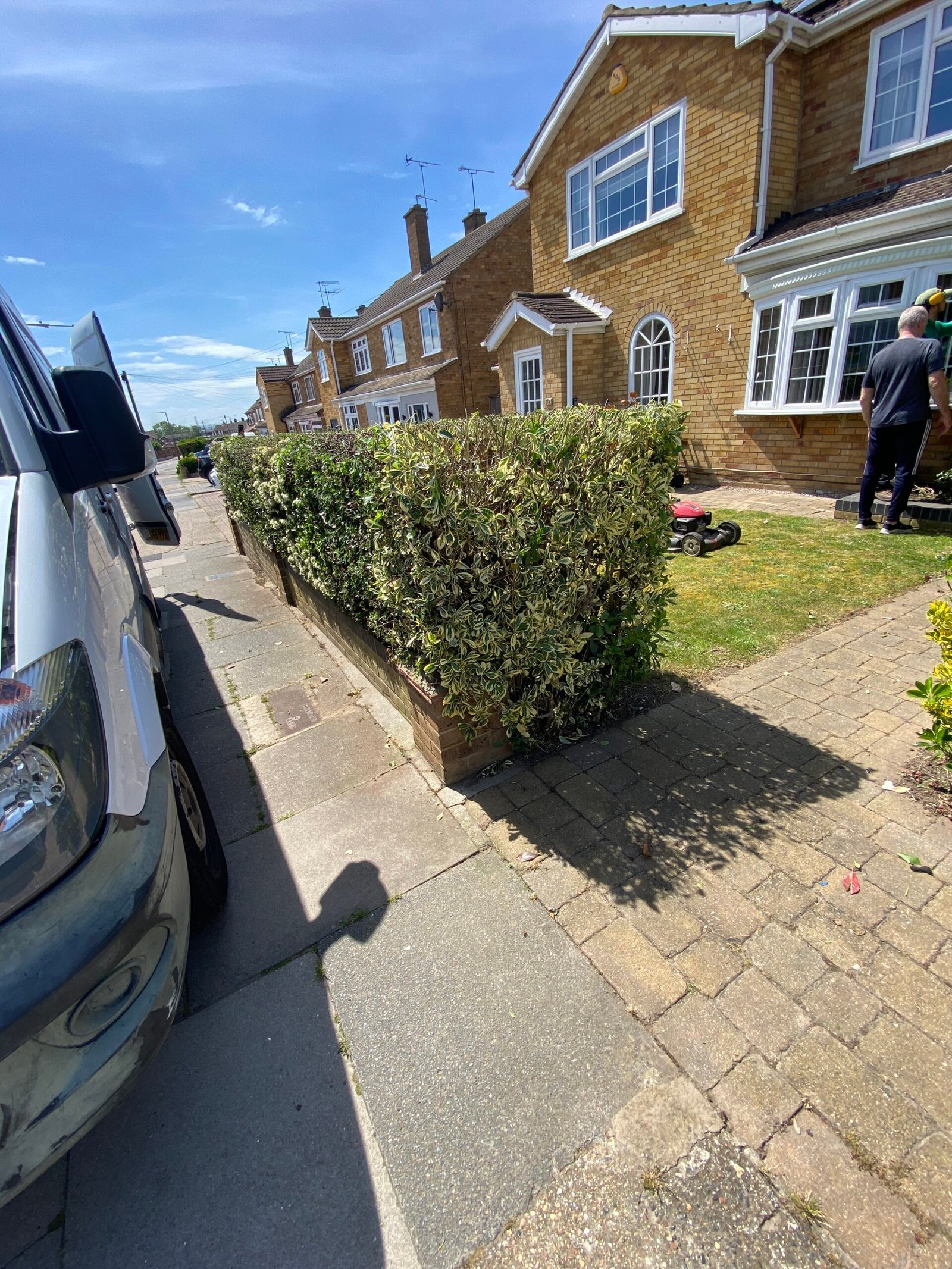hedge trimming garden hedge beside driveway and parked van