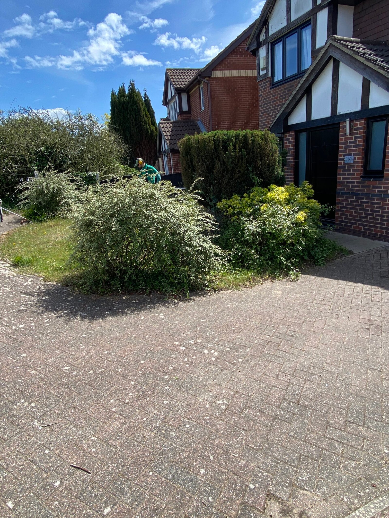 hedge trimming front garden shrubs and lawn beside tudor style house