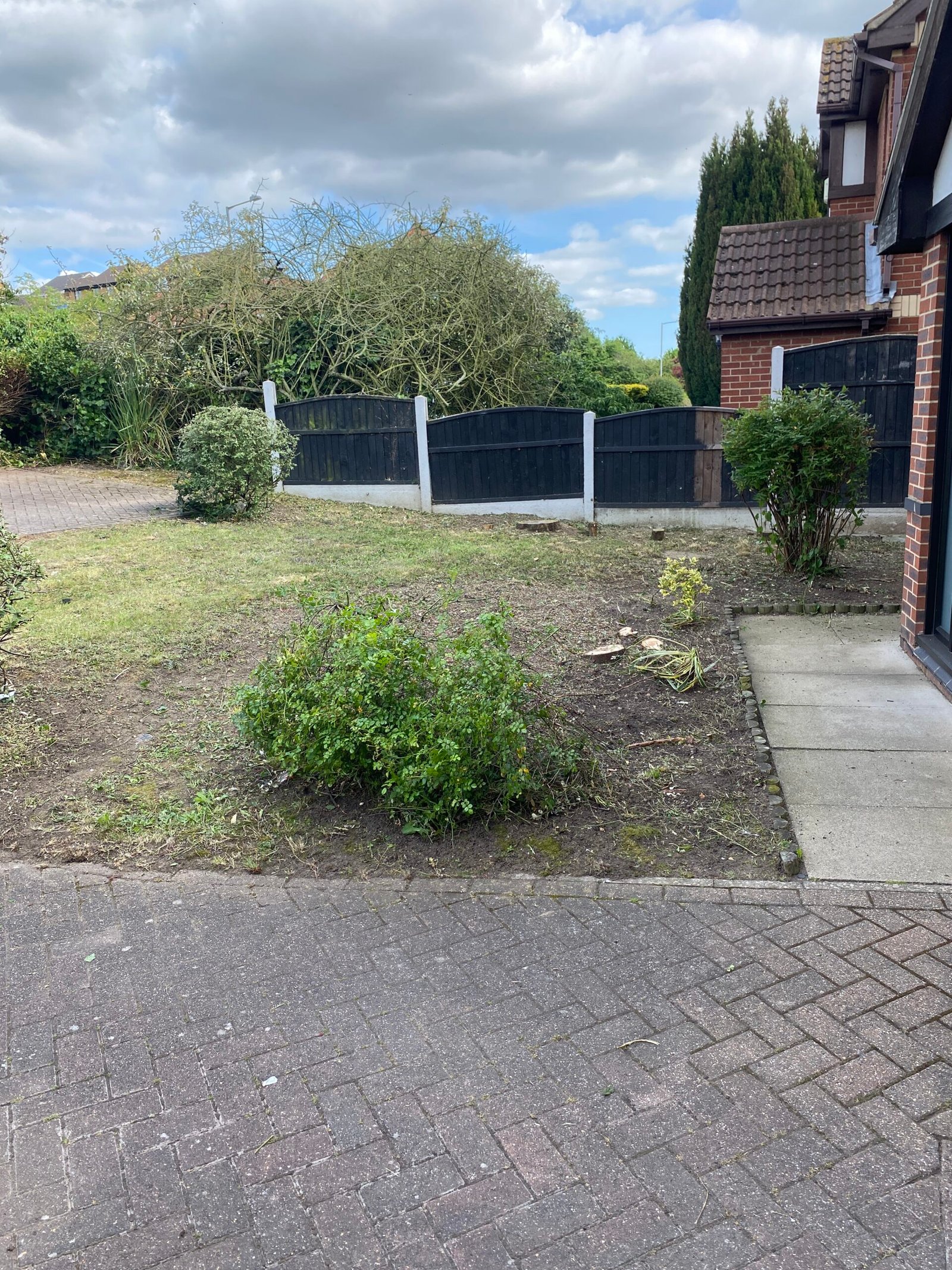 overgrown garden clearance front garden with weeds and black fence