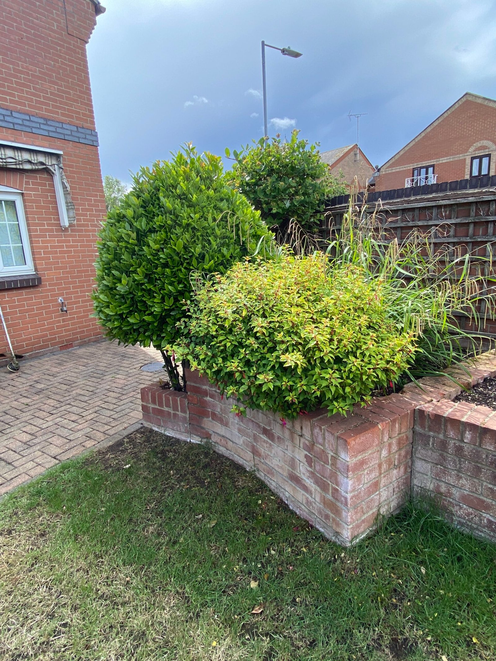 hedge trimming leafy green bush beside brick planter wall