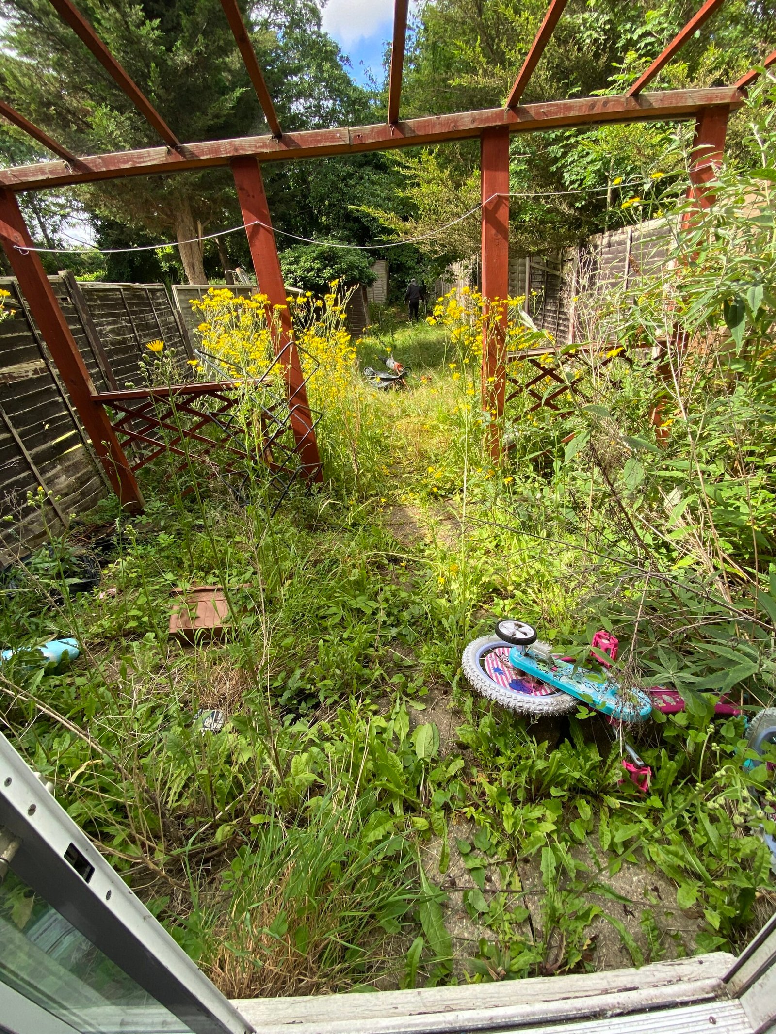 overgrown garden clearance long grass weeds and wooden frame in back garden