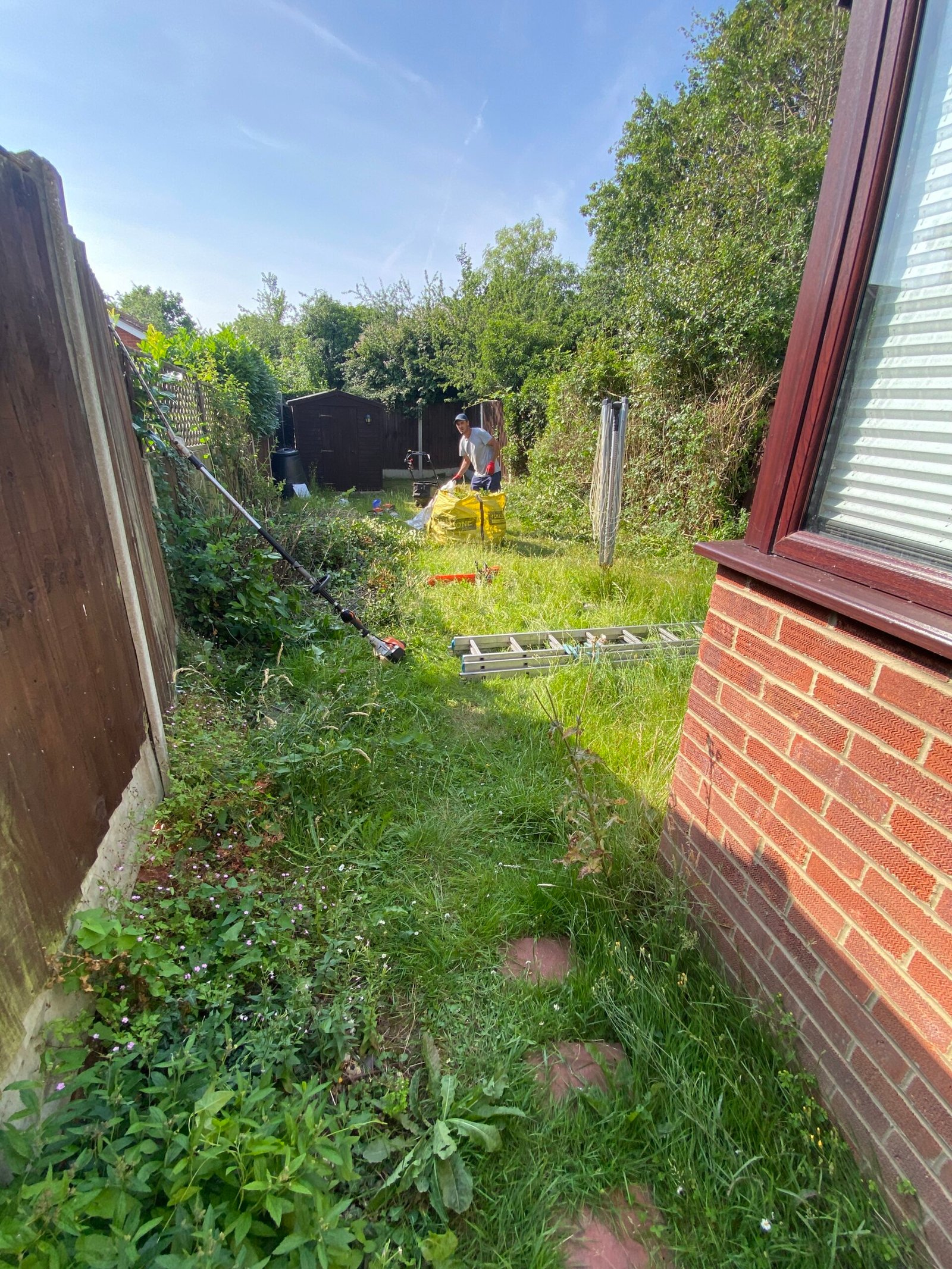 Overgrown garden clearance before