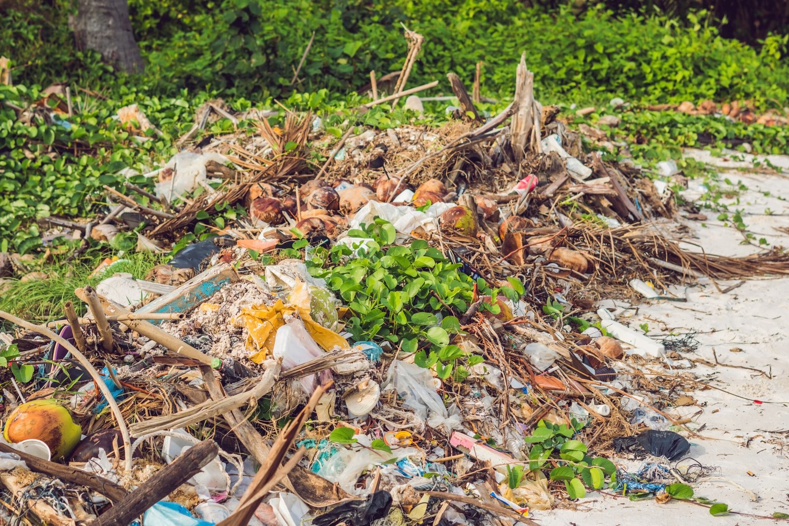 Garden clearance of overgrown vegetation and garden waste