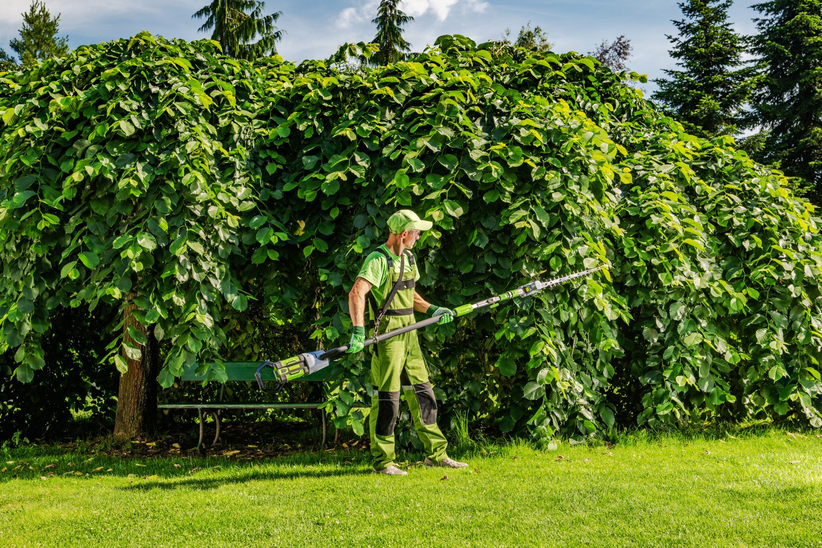 Gardener cutting a large hedge with a long-reach hedge trimmer
