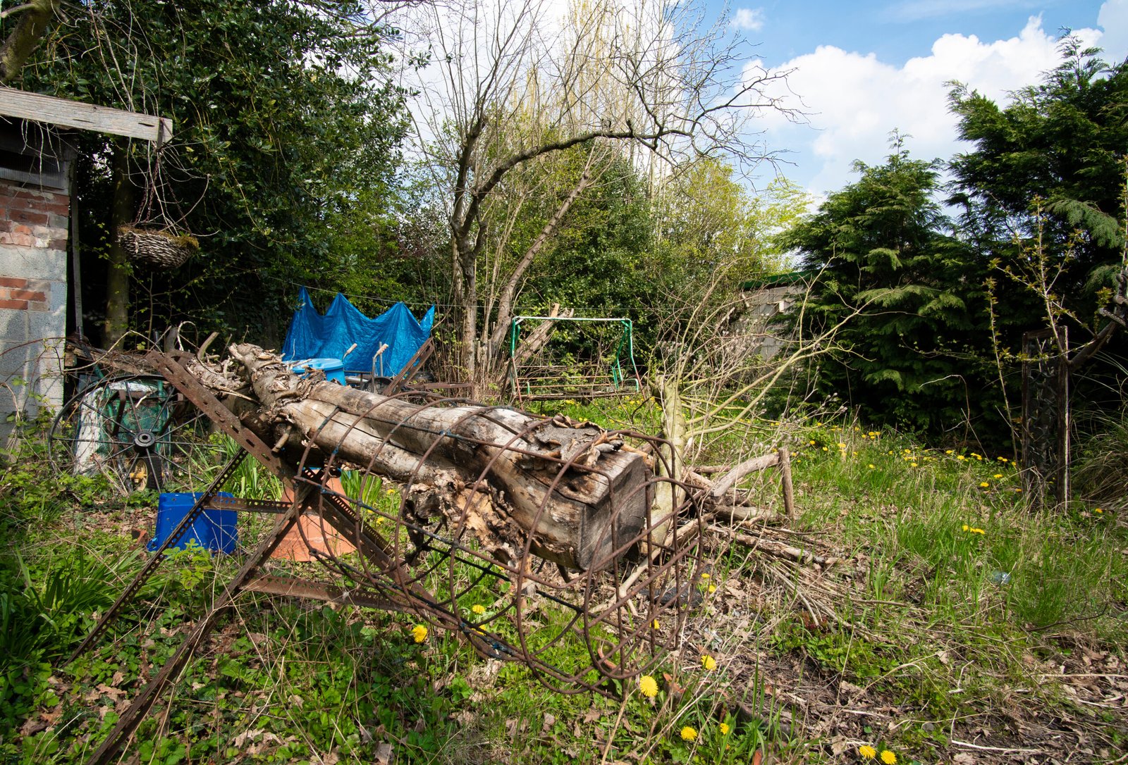 Overgrown garden with vegetation and unwanted items for clearance