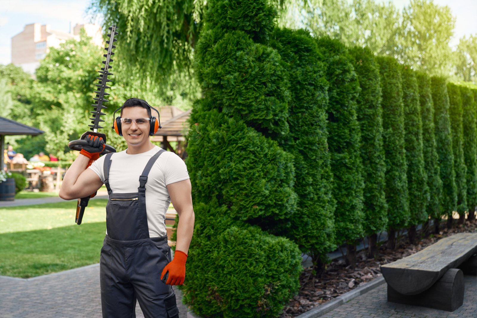 Gardener with hedge trimmer beside a neatly trimmed hedge