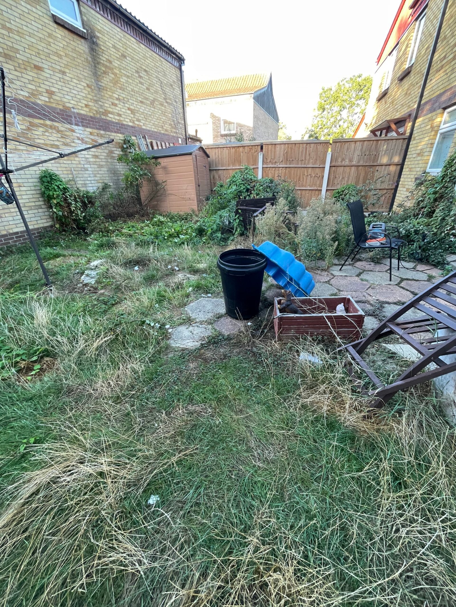 garden clearance Basildon overgrown back garden before clearance