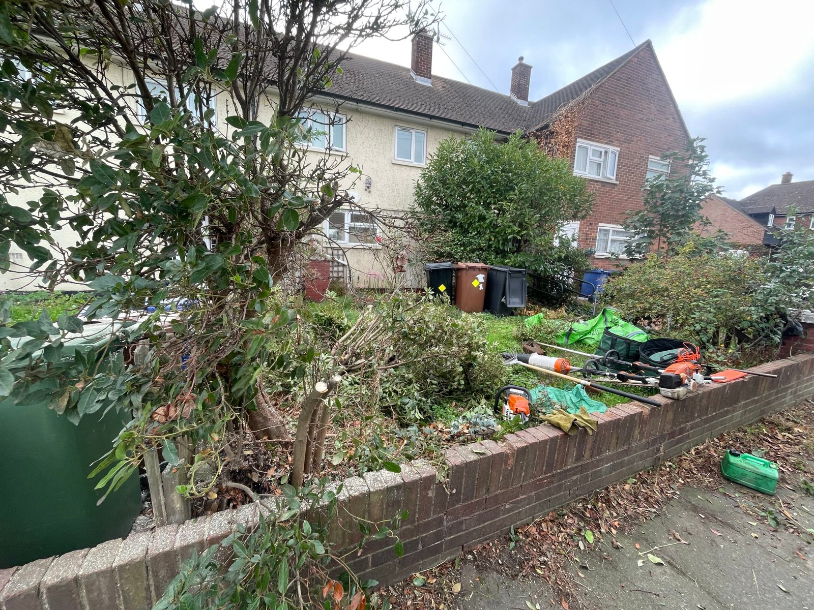 Garden tree,weeds,bramble removal