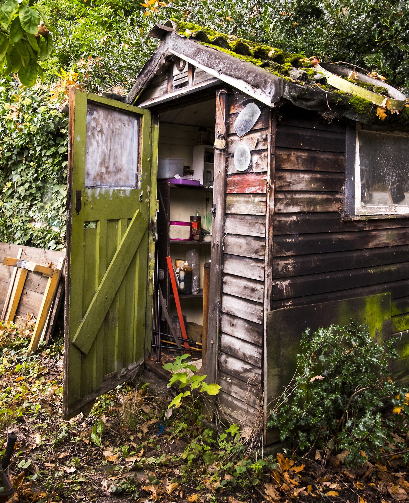 shed dismantling old wooden garden shed with moss covered roof and open