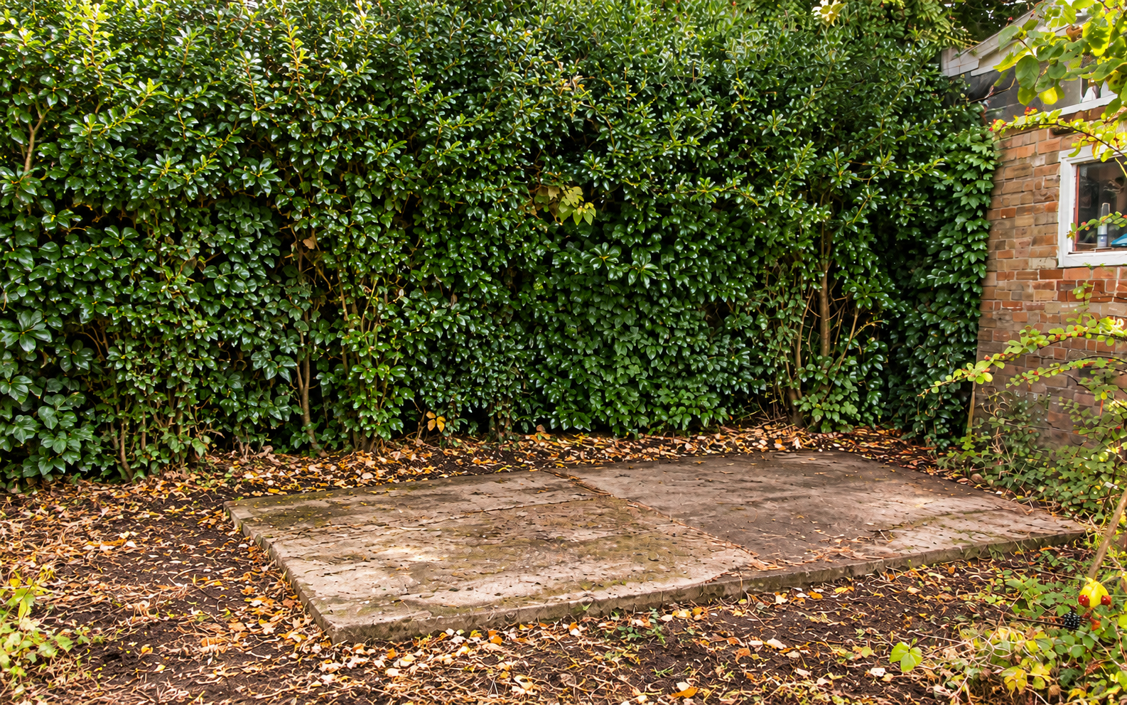 Clear shed base. Shed removed